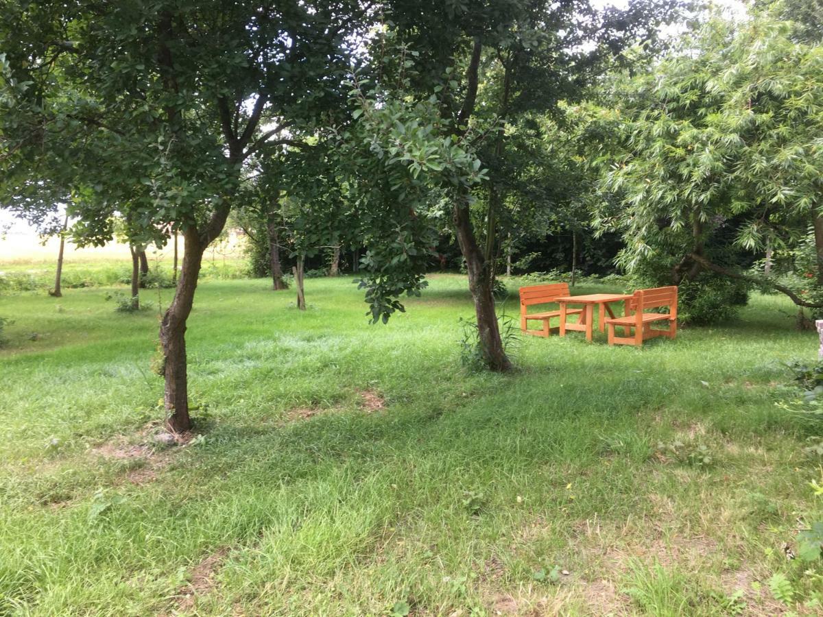 Marijanas Ferienwohnungen Gründeich Ein alter wunderschöner Resthof aus dem neunzehnten Jahrhundert mit Weidefläche und Obstwiesen Bitte nicht buchen wenn Sie eine unkrautfreie moderne Parkanlage erwarten Es ist ein rustikaler Hof Holtgast Exterior foto